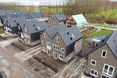 01-Moerasorchidee 29 - Lelystad.JPG